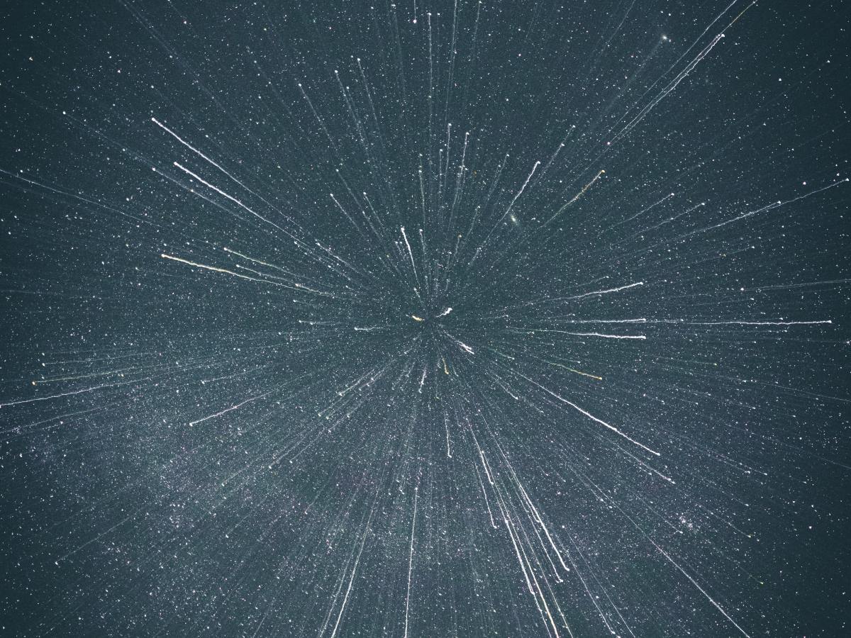 Pregnancy Updates for&nbsp;Trekkies